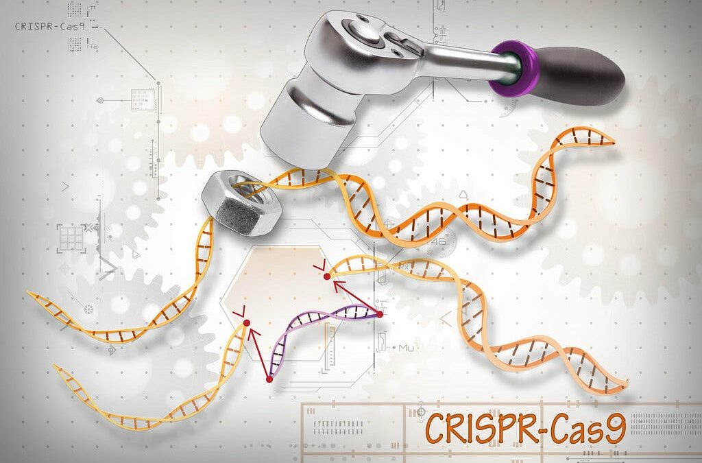 La Rivoluzione del Gene Editing in Medicina: Speranza per le Malattie Genetiche