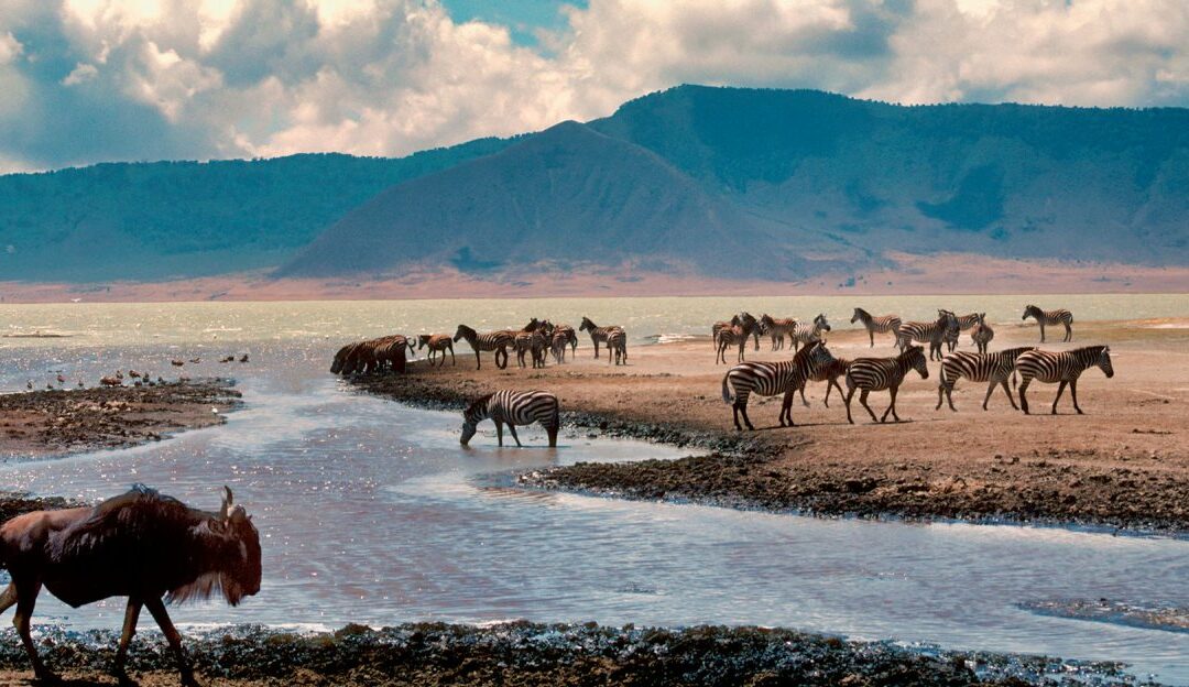 Scopri le Meraviglie del Ngorongoro e del Serengeti National Park