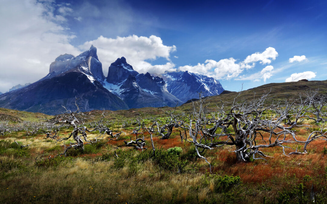 Patagonia: La Maestosa Frontiera della Natura