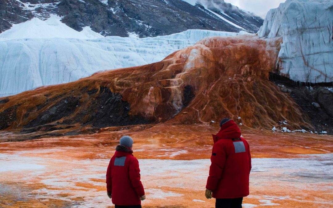 L’Enigma delle Cascate di Sangue: La Cascata Cremisi dell’Antartide