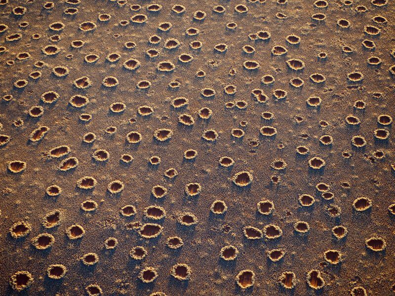 The Enigmatic Fairy Circles of Namibia: Nature’s Puzzling Phenomenon