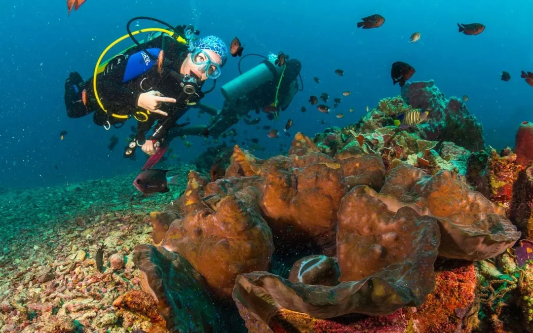 Thailandia Avventurosa: Immersioni Subacquee, Arrampicata su Roccia e Sport Acquatici