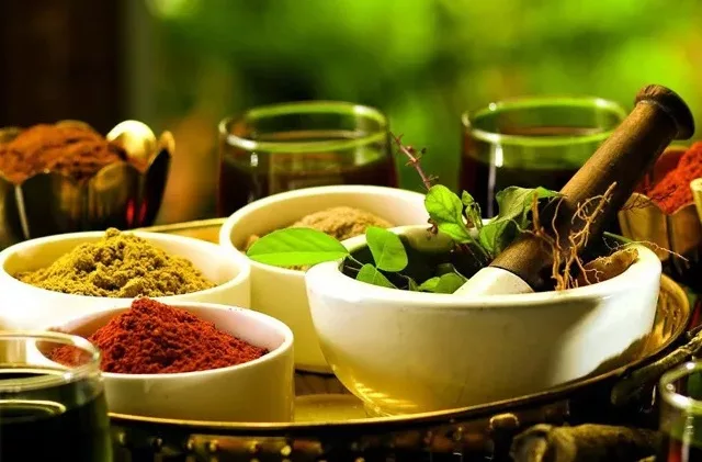 Traditional Balinese Healing Practices: Ancient Remedies in the Modern World