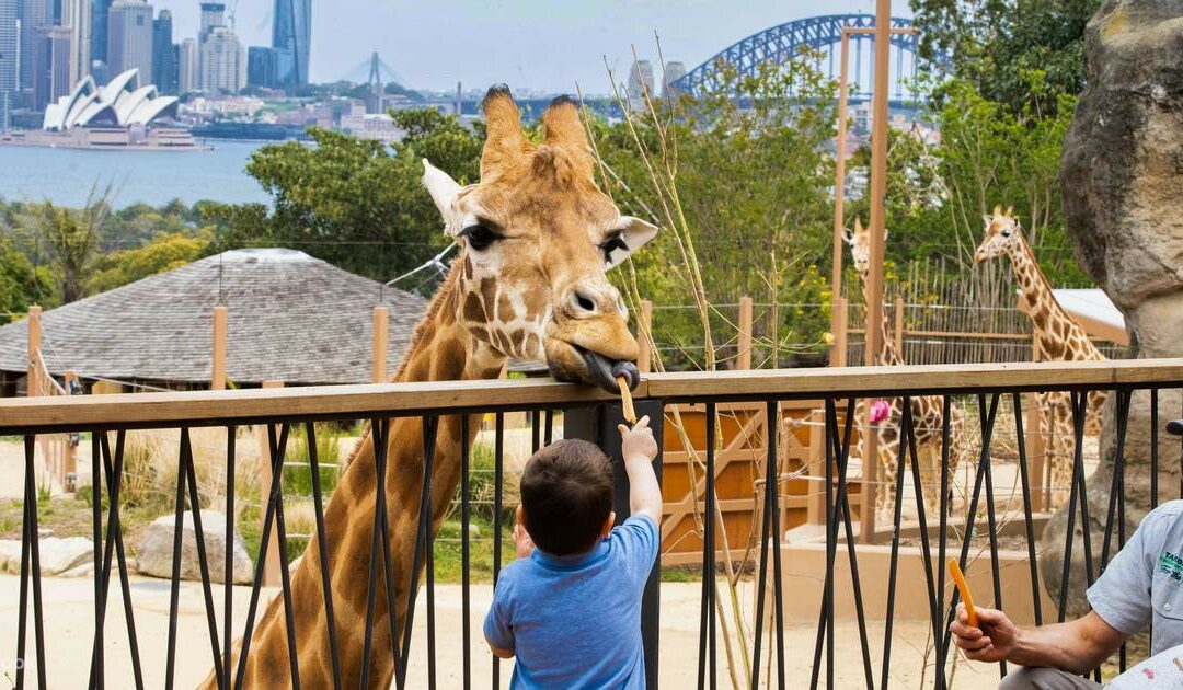 Sydney a Misura di Famiglia: Attrazioni e Attività per Tutte le Età