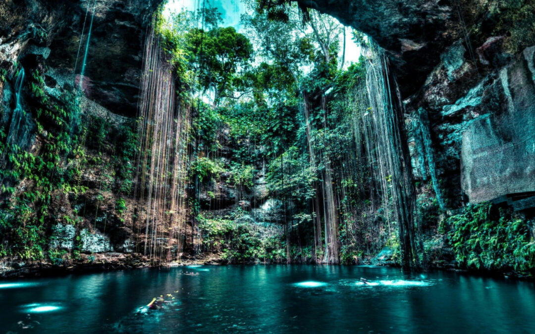 I Migliori Cenotes Vicino a Cancun: Le Meravigliose Piscine Naturali Nascoste