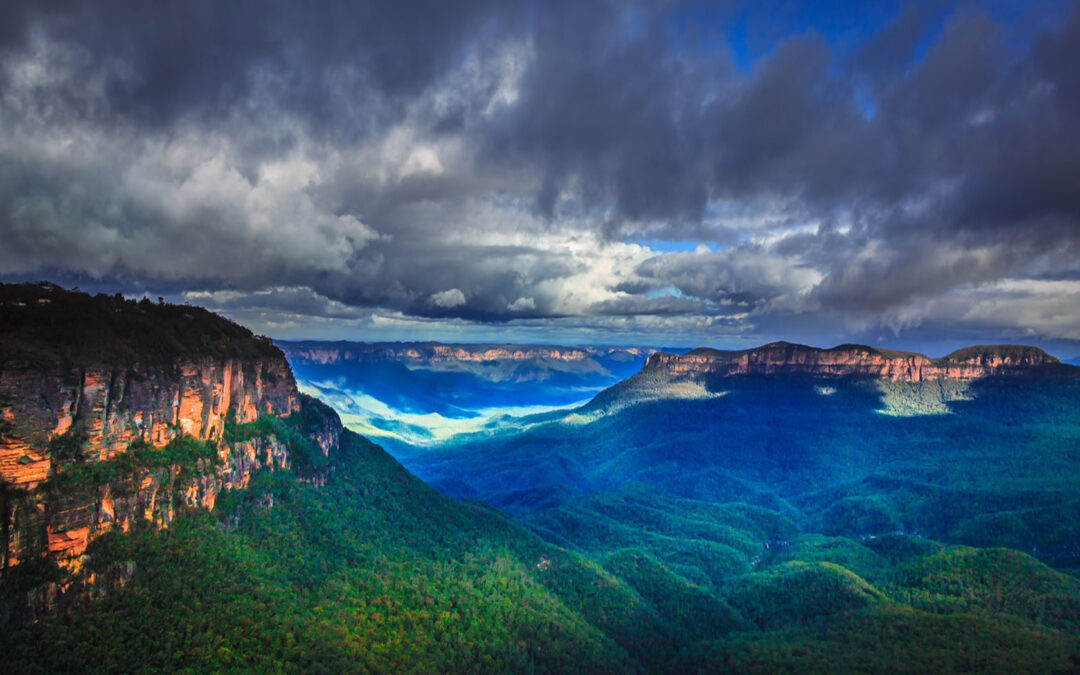 Sydney’s National Parks: Nature Escapes Near the City