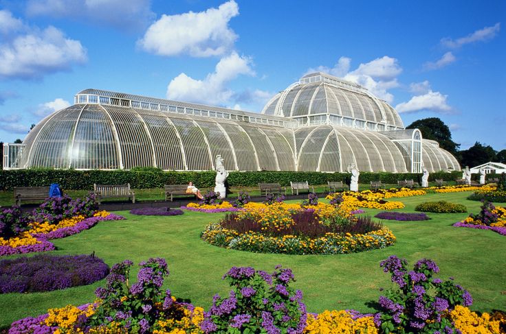 Royal Botanic Garden: An Oasis in the Heart of the City