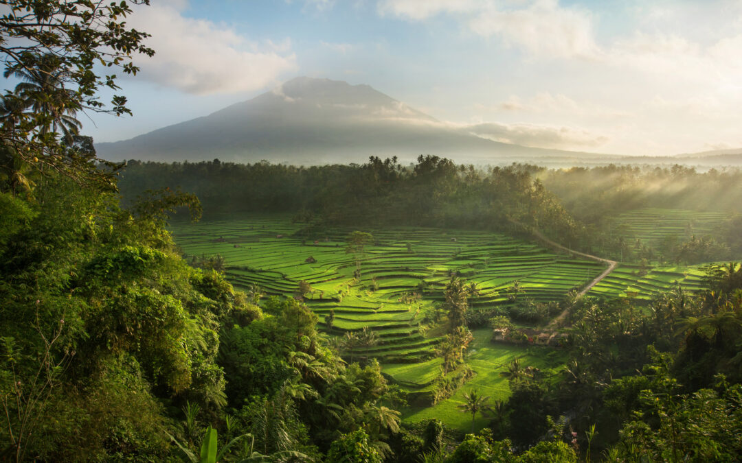 Sidemen: A Tranquil Retreat in Bali’s Rice Terraces