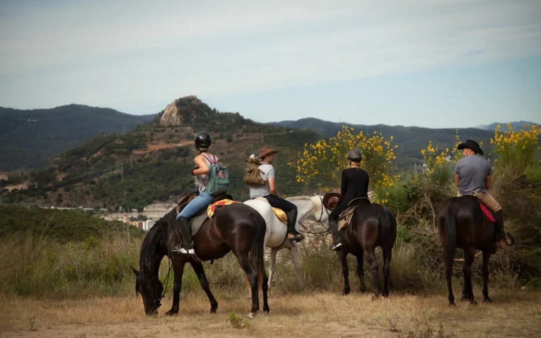 Horseback Riding in the Cancun Countryside: An Adventure Beyond the Beaches