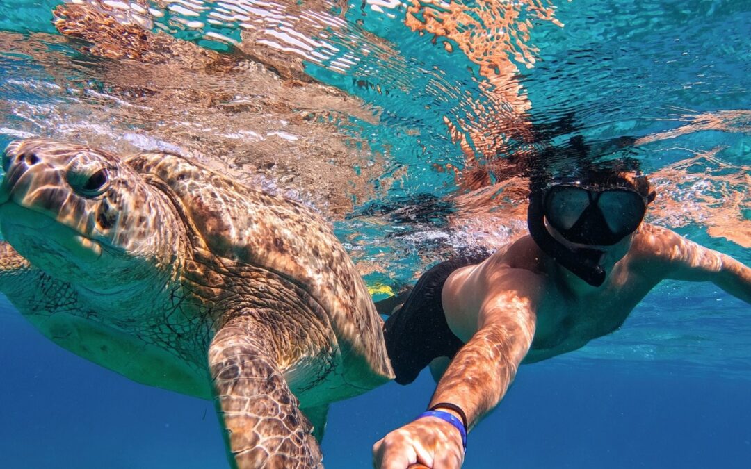 Snorkeling with Turtles at Akumal Bay: A Caribbean Adventure